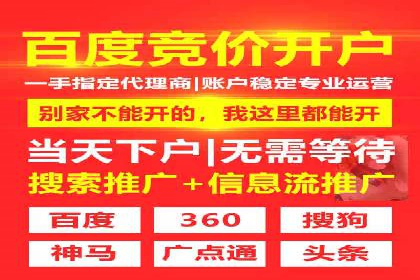 某行业头部企业信息流广告推广全解析