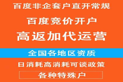 互联网公司SEM代运营成功案例剖析